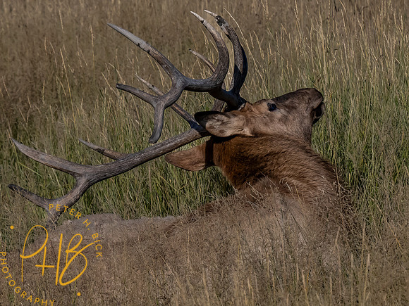 Yellowstone Trip 9-2023 2540-Edit