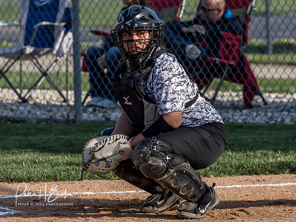 Lapel Softball 2019 0607