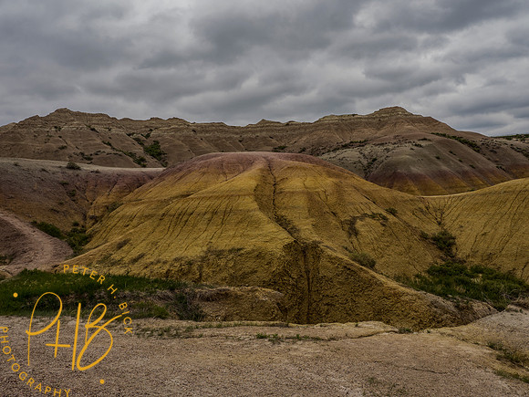 Yellowstone Trip 2021 0335-Edit