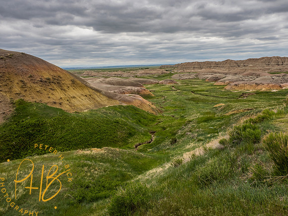 Yellowstone Trip 2021 0343-Edit