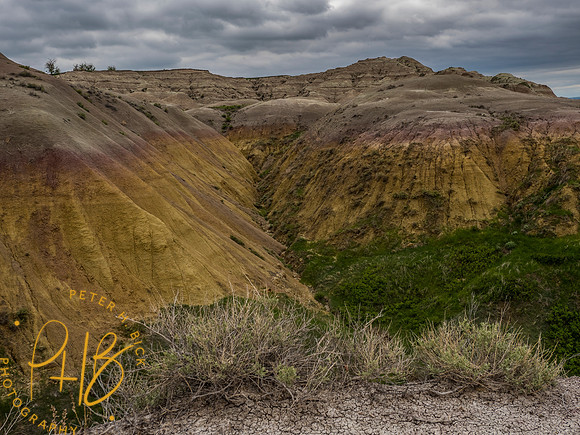 Yellowstone Trip 2021 0351-Edit