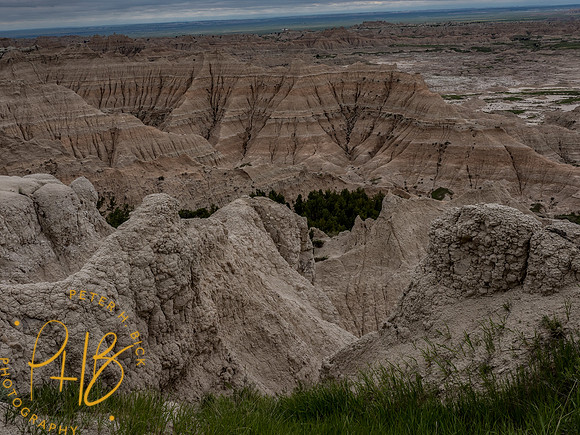Yellowstone Trip 2021 0376-Edit