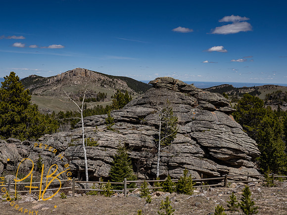 Yellowstone Trip 2021 0504-Edit