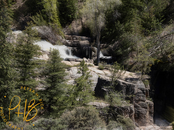 Yellowstone Trip 2021 0534-Edit