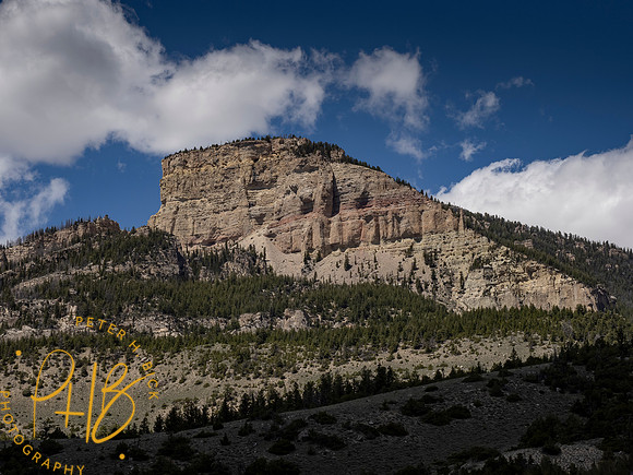 Yellowstone Trip 2021 0545-Edit