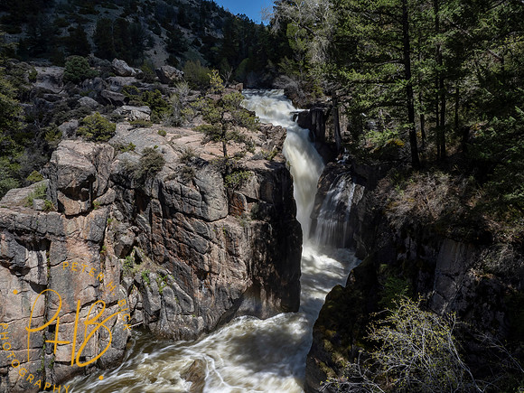 Yellowstone Trip 2021 0562-Edit