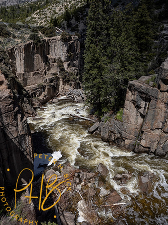 Yellowstone Trip 2021 0566-Edit