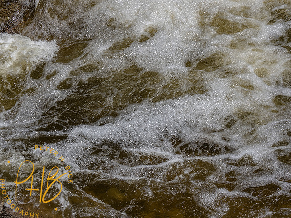 Yellowstone Trip 2021 0570-Edit