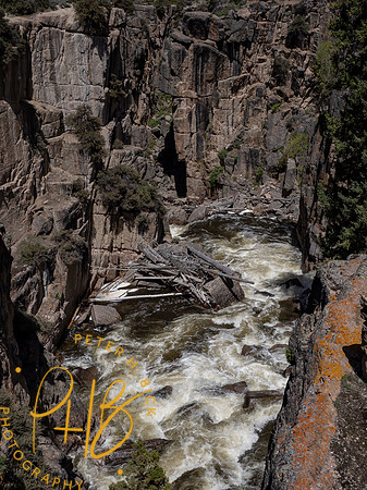 Yellowstone Trip 2021 0583-Edit