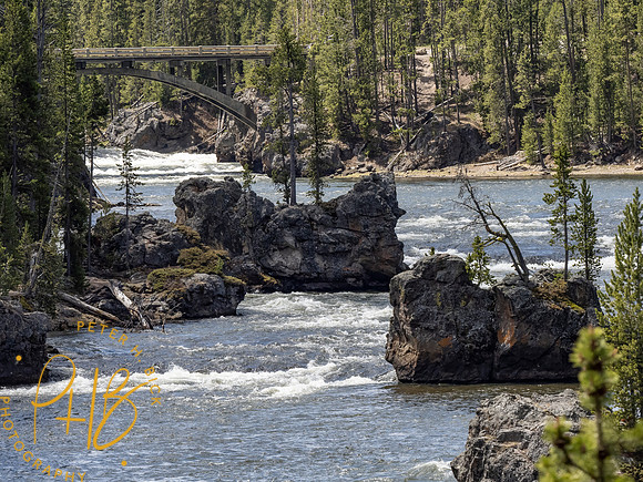 Yellowstone Trip 2021 0836-Edit