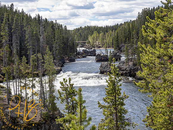 Yellowstone Trip 2021 0840-Edit