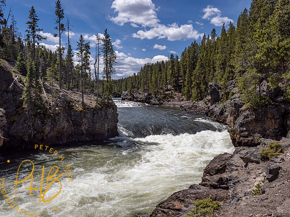 Yellowstone Trip 2021 0842-Edit