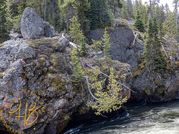 Yellowstone Trip 2021 0851-Edit