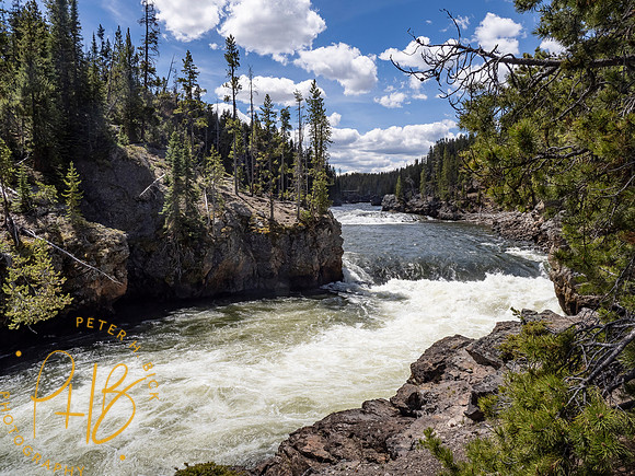 Yellowstone Trip 2021 0859-Edit