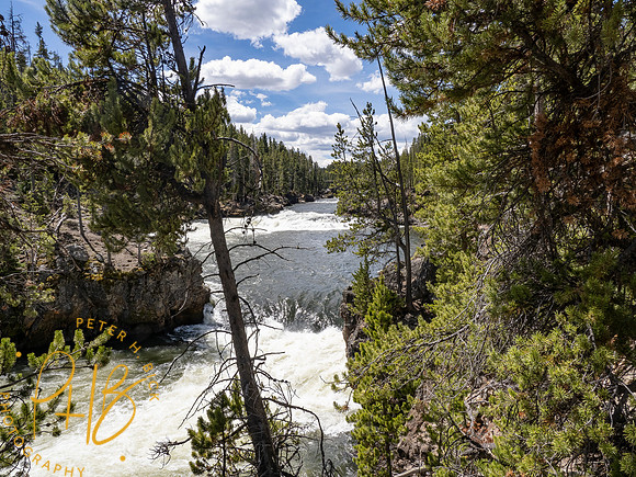 Yellowstone Trip 2021 0862-Edit