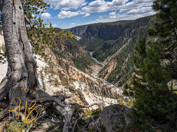 Yellowstone Trip 2021 0904-Edit