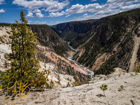 Yellowstone Trip 2021 0908-Edit