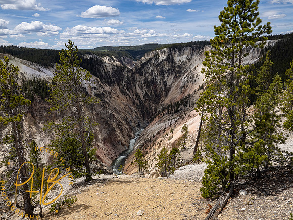 Yellowstone Trip 2021 0909-Edit