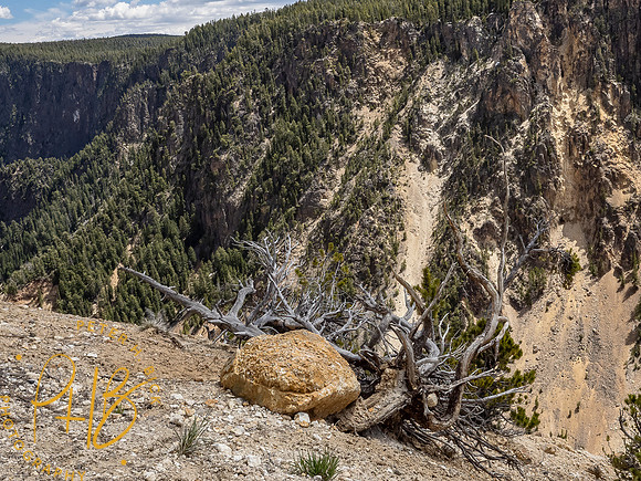 Yellowstone Trip 2021 0910-Edit