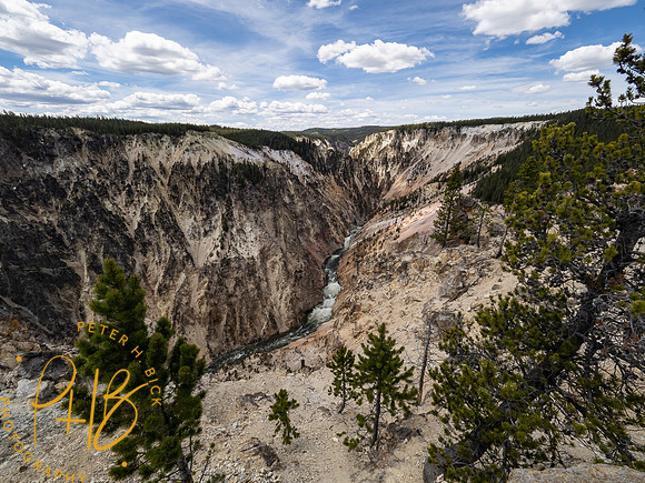 Yellowstone Trip 2021 0913-Edit