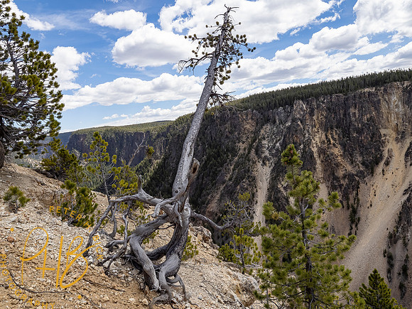 Yellowstone Trip 2021 0914-Edit