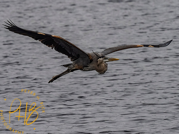 Florida 3-21 0150-Edit