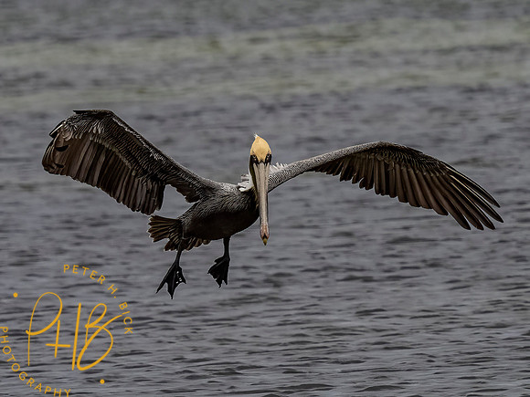 Florida 3-21 0460-Edit