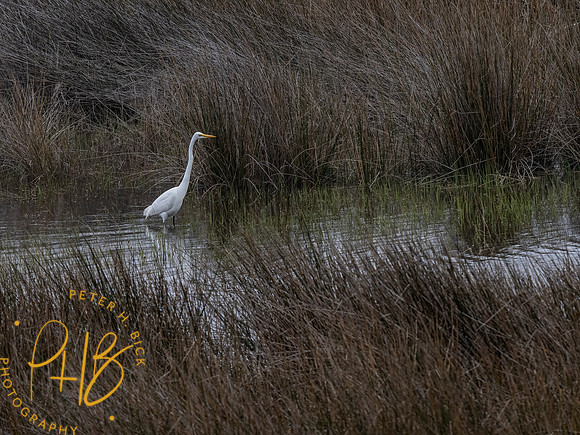 Florida 3-21 0814-Edit