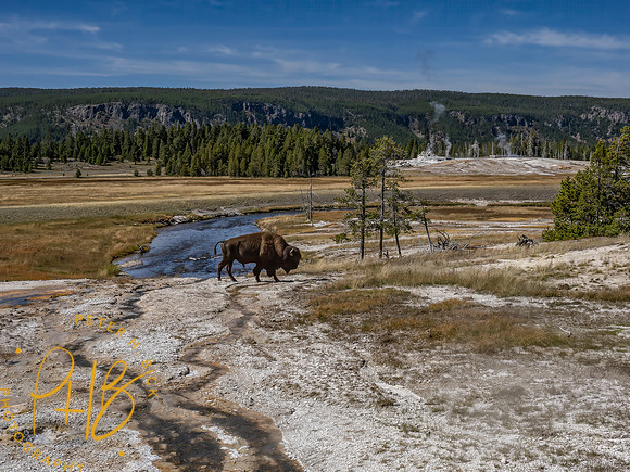 Yellowstone Trip 9-2023 1739-Edit