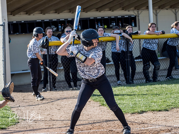 Lapel Softball 2019 0416