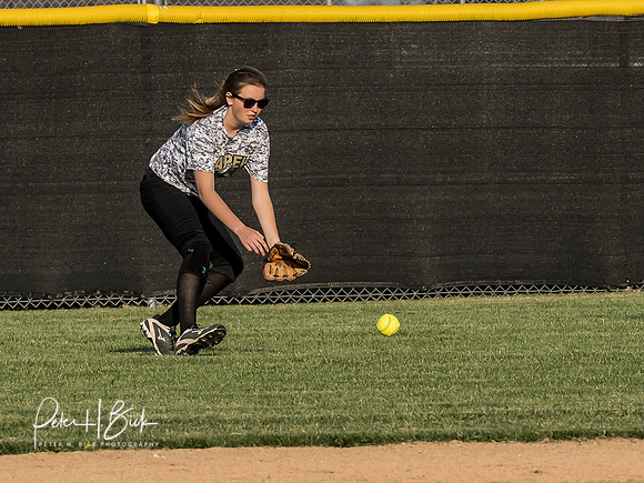 Lapel Softball 2019 0704