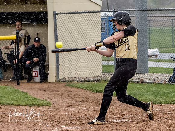 Lapel Softball 2019 0965