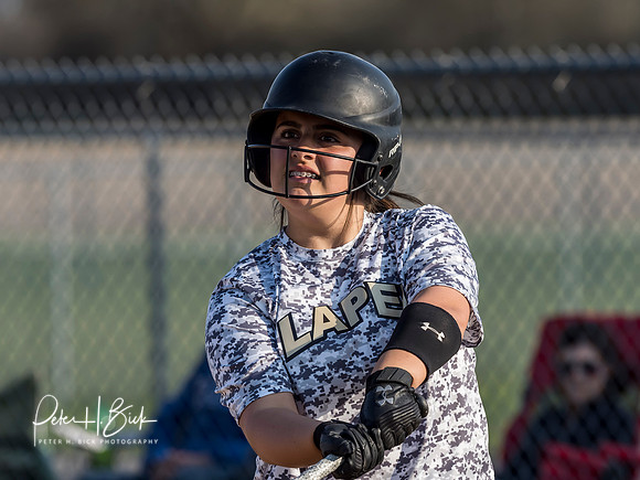 Lapel Softball 2019 0689