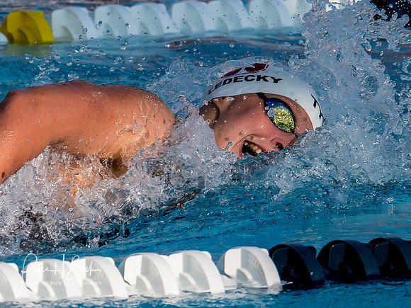 katie-ledecky-2018-us-nationals 5691