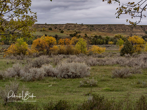 Fall Trip 2017 0315