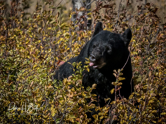 Fall Trip 2017 0792