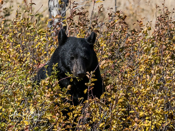 Fall Trip 2017 0797