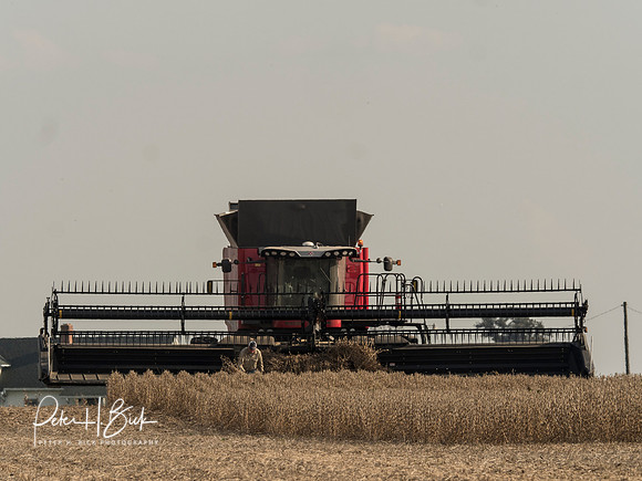 Indiana Countryside 0397