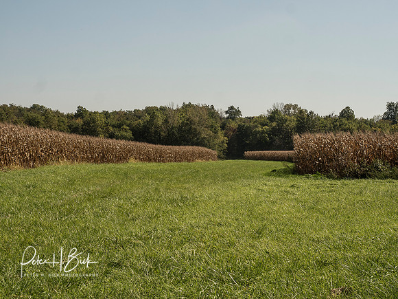 Indiana Countryside 0434