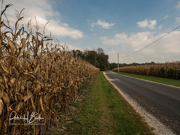 Indiana Countryside 0546