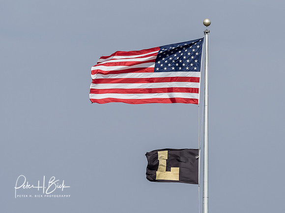 Lapel Softball 2019 0018