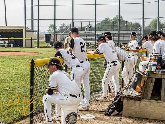 Lapel Baseball 2024 0981-Edit
