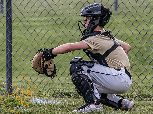 Lapel Baseball 2024 0660-Edit