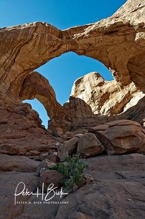 Arches NP 2011 0172