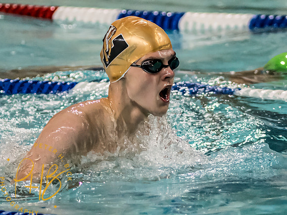 Lapel Swimming 2023-24 0114-Edit