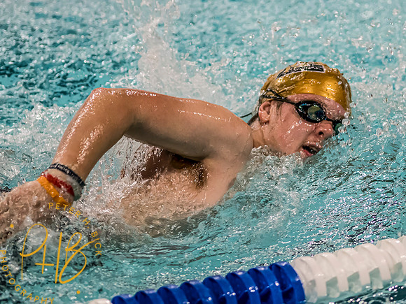 Lapel Swimming 2023-24 0142-Edit