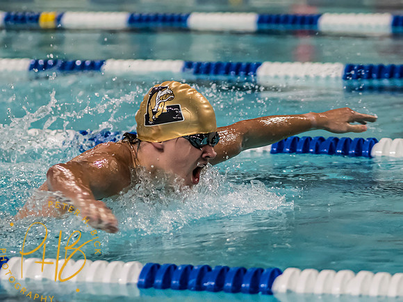 Lapel Swimming 2023-24 0166-Edit