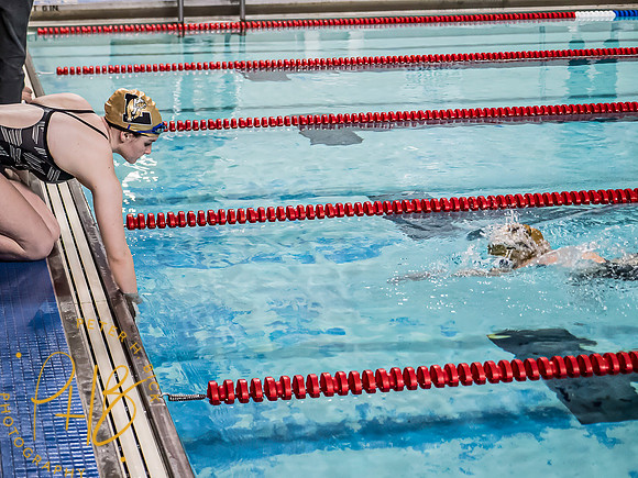 Lapel Swimming 2023-24 0251-Edit