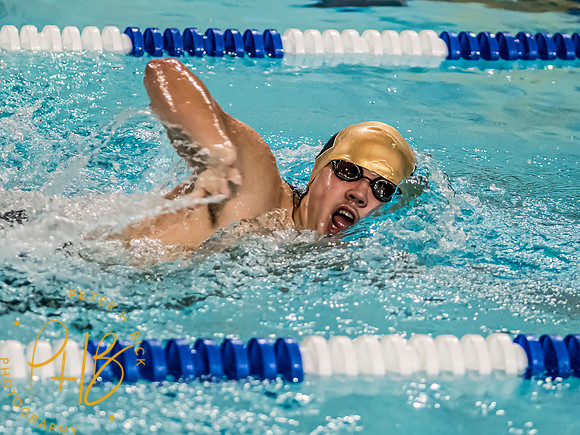 Lapel Swimming 2023-24 0277-Edit