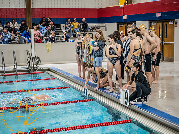 Lapel Swimming 2023-24 0291-Edit
